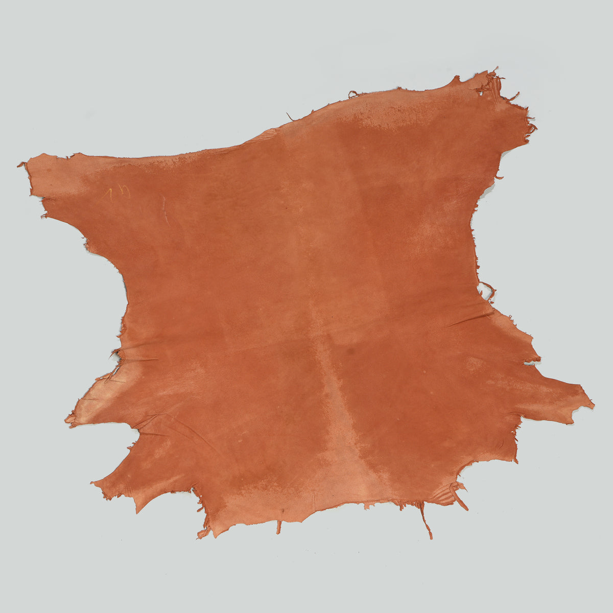 Qawach Real Lambskin Skin Hide Each Skins Hides SOFT PREMIUM BELLA BROWN 6+sqf