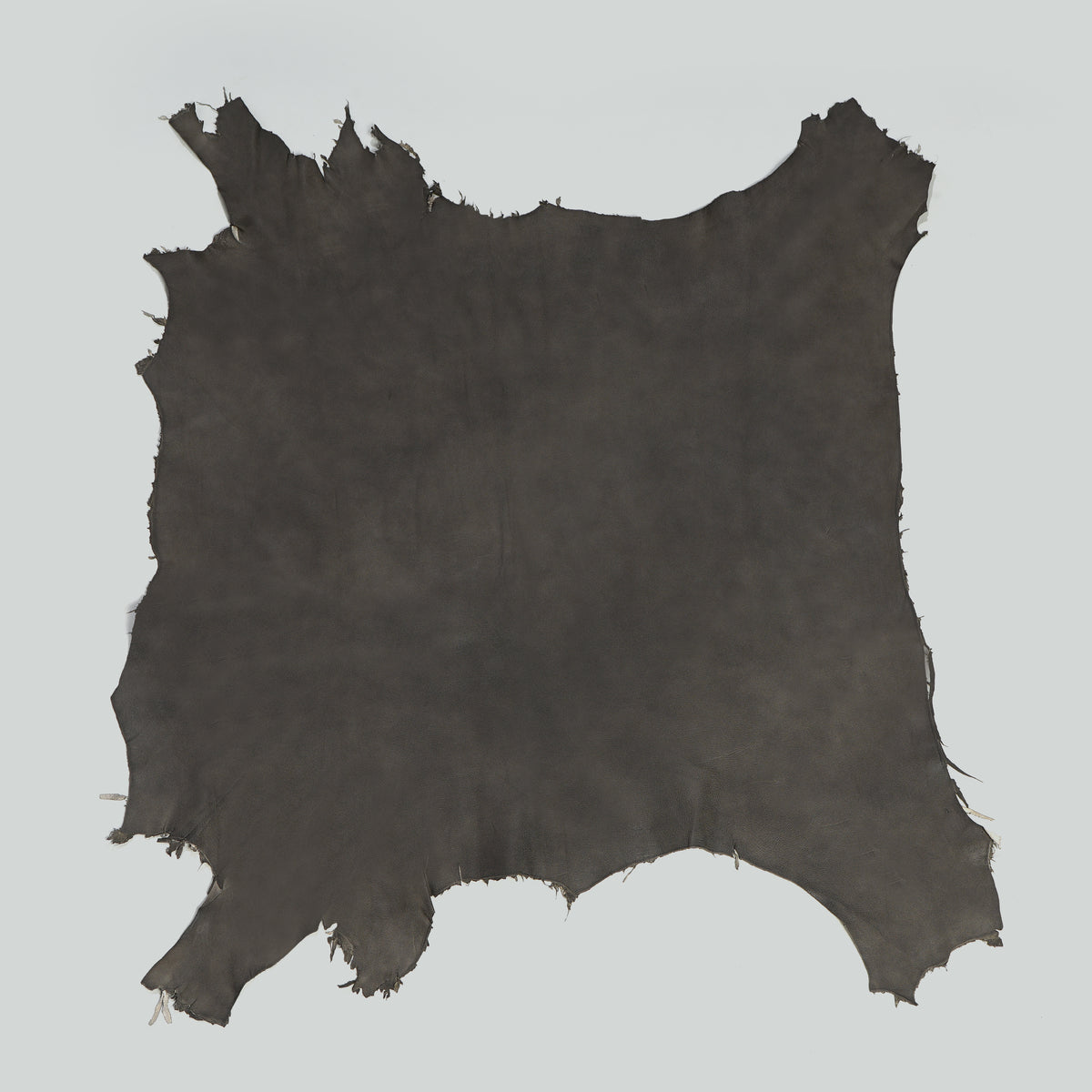 Qawach Real Lambskin Skin Hides Leather SOFT PREMIUM RUBBED CHARCOAL Each Skin 6+sqf